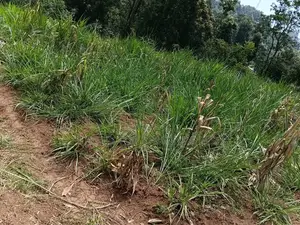 1 Acre Land