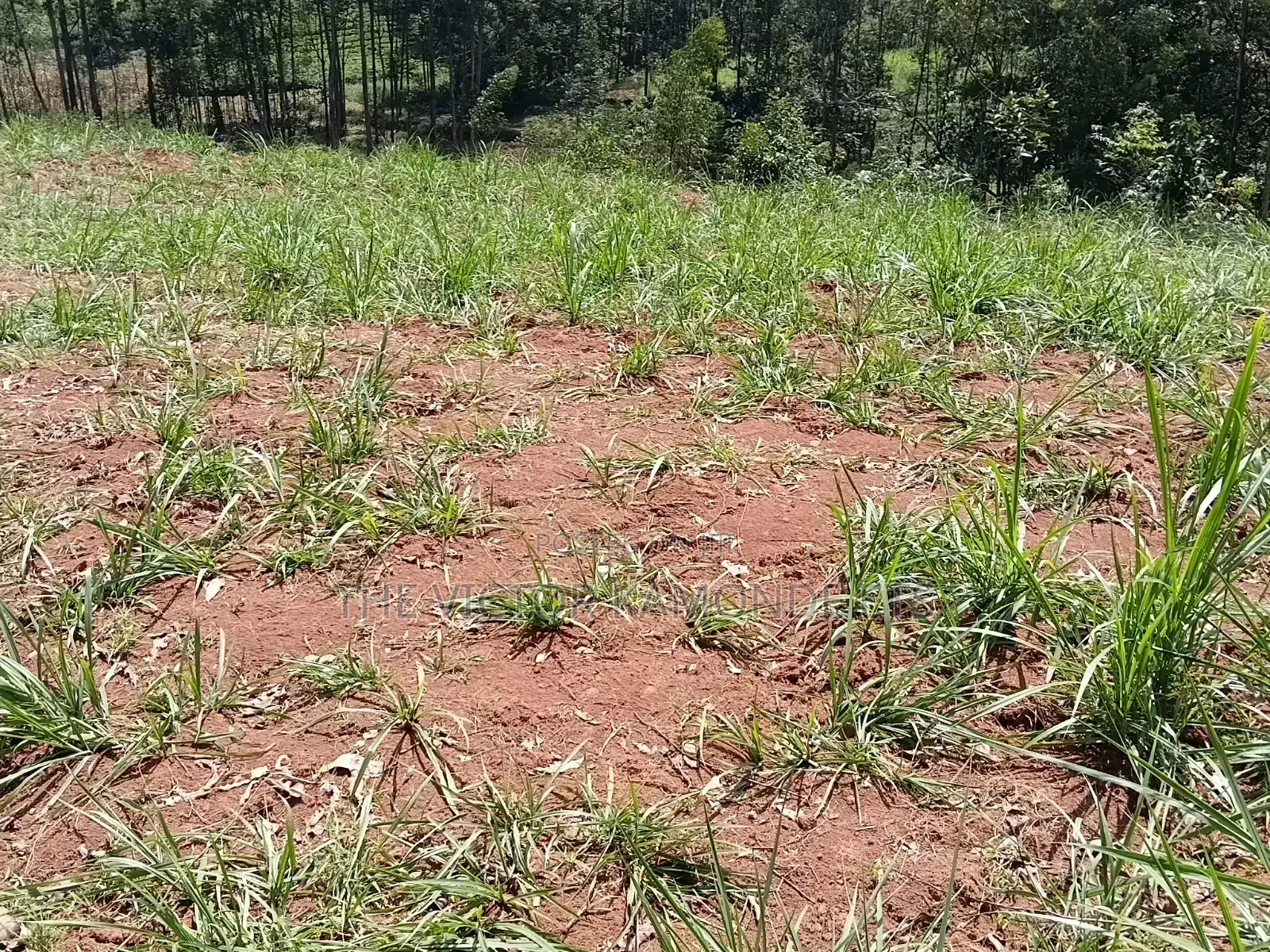 1 Acre Land