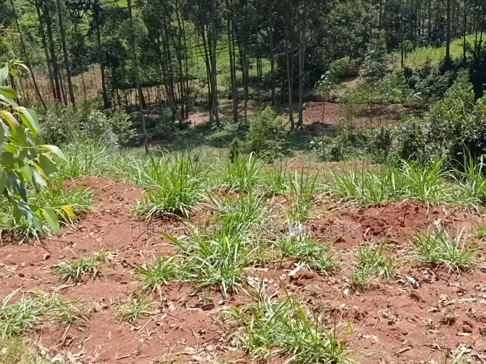 1 Acre Land