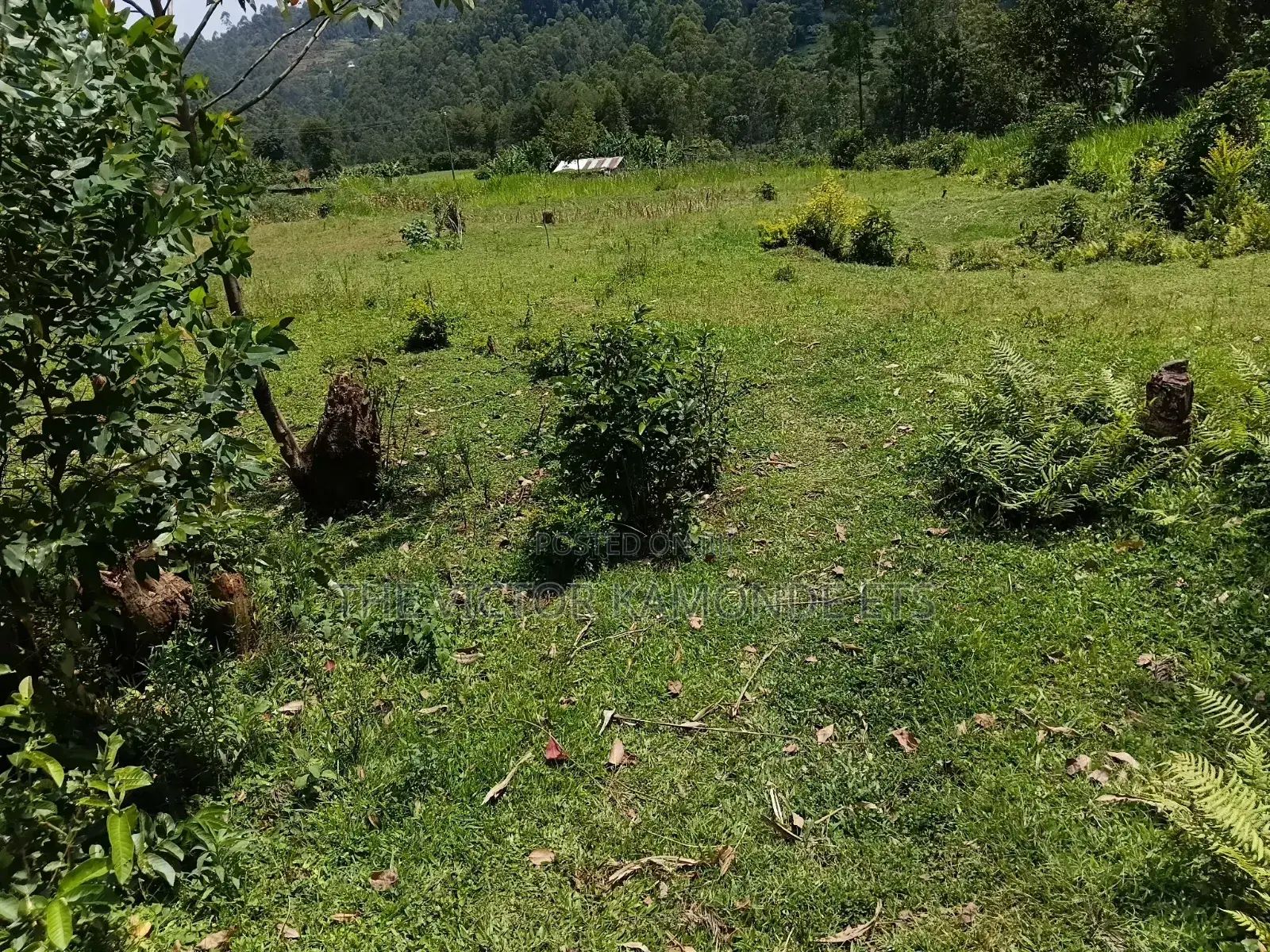 1 Acre Land