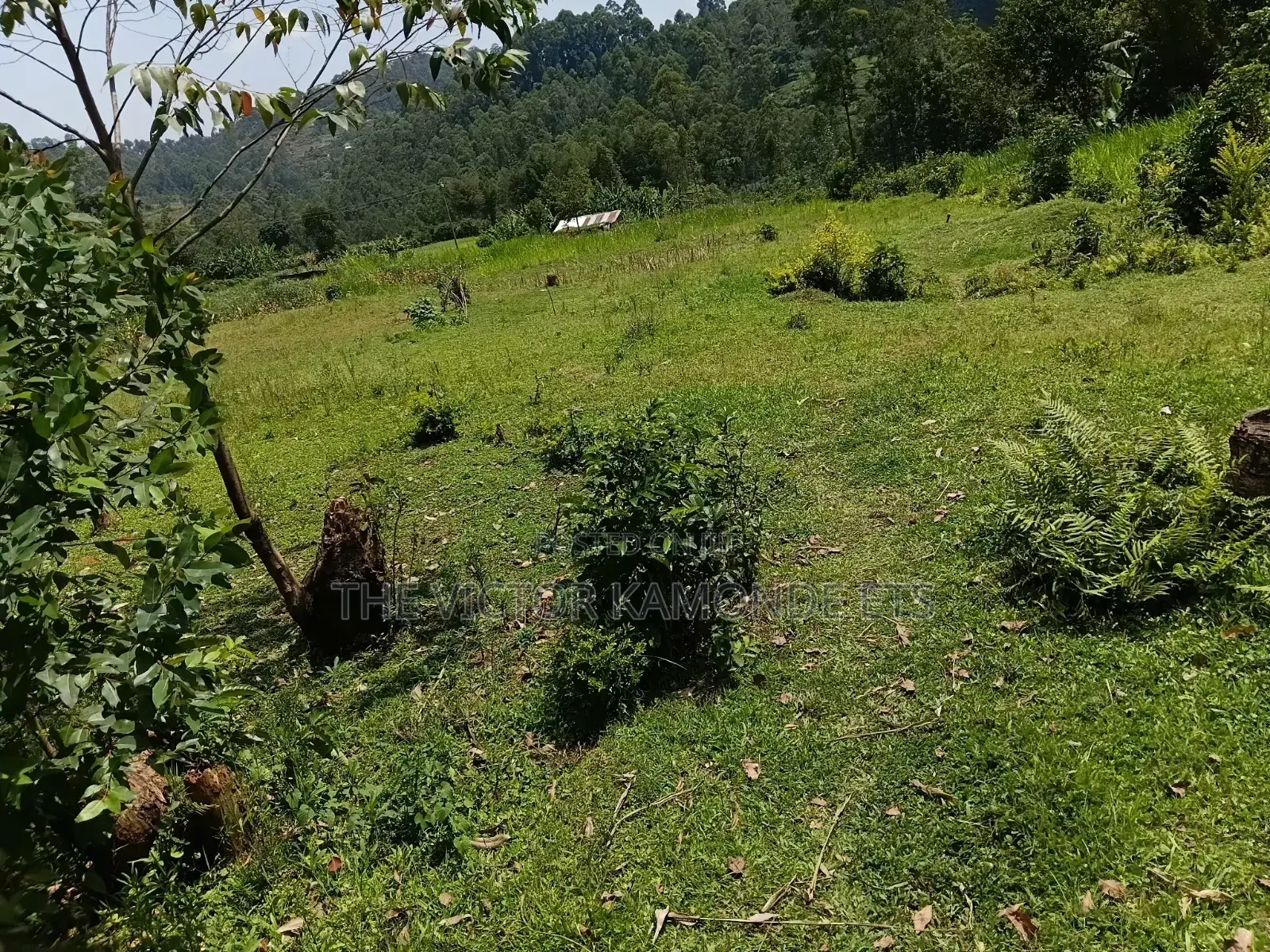 1 Acre Land