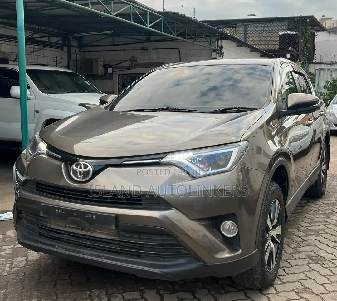 Toyota RAV4 2017 Brown