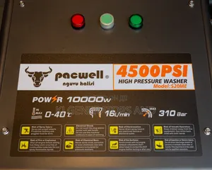 Pacwell Pressure Washer