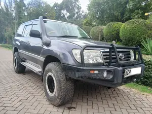 Toyota Land Cruiser 2002 Gray