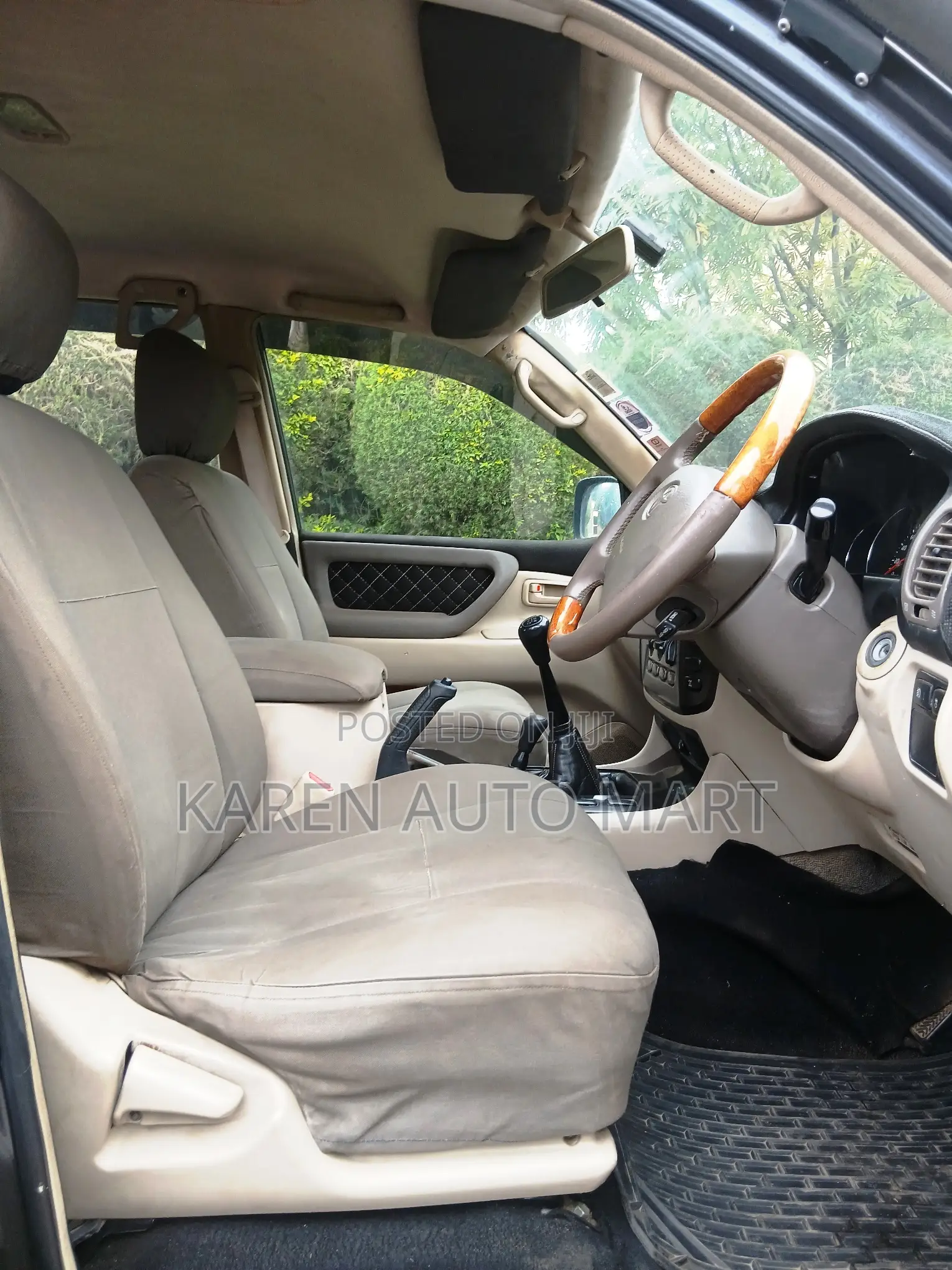 Toyota Land Cruiser 2002 Gray