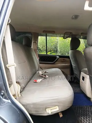 Toyota Land Cruiser 2002 Gray