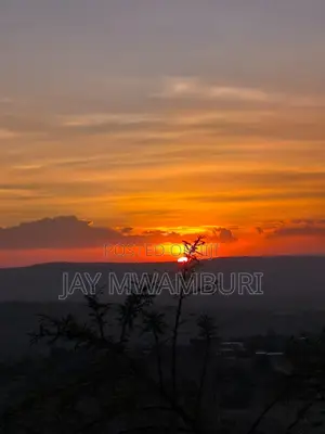 1/2 Acre Mua Hills
