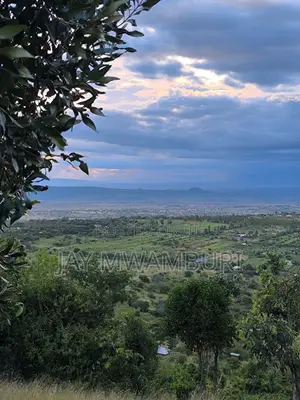 1/2 Acre Mua Hills