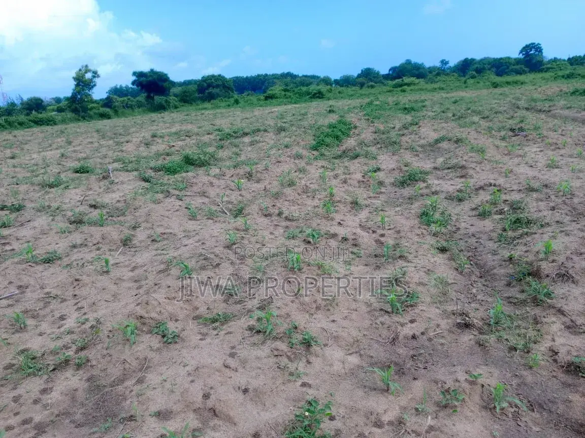 Several Freehold 1/4 Acres Plots for Sale