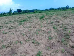 Several Freehold 1/4 Acres Plots for Sale