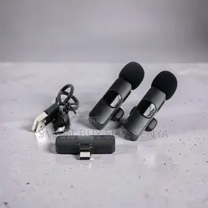 Portable Mini Lapel Lavalier Dual Wireless Microphone