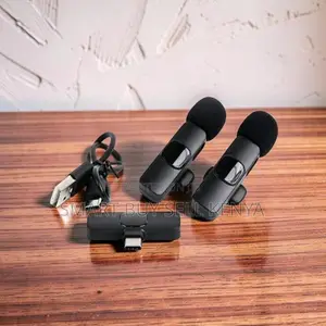 Professional Mini Lapel Lavalier Dual Wireless Microphone