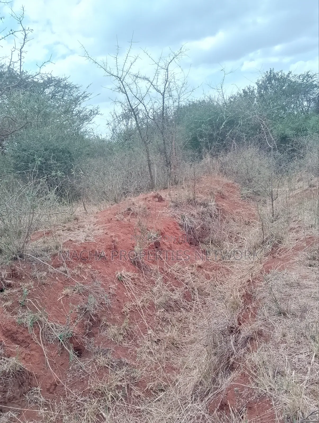 10 Acres Quick Sale Per Acre Masimba