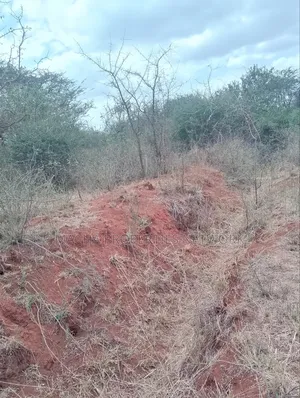 10 Acres Quick Sale Per Acre Masimba