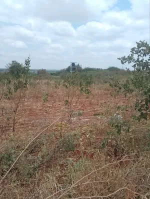 10 Acres Quick Sale Per Acre Masimba