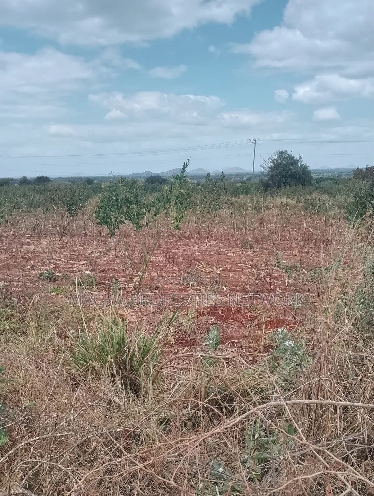 10 Acres Quick Sale Per Acre Masimba