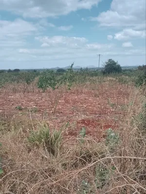 10 Acres Quick Sale Per Acre Masimba