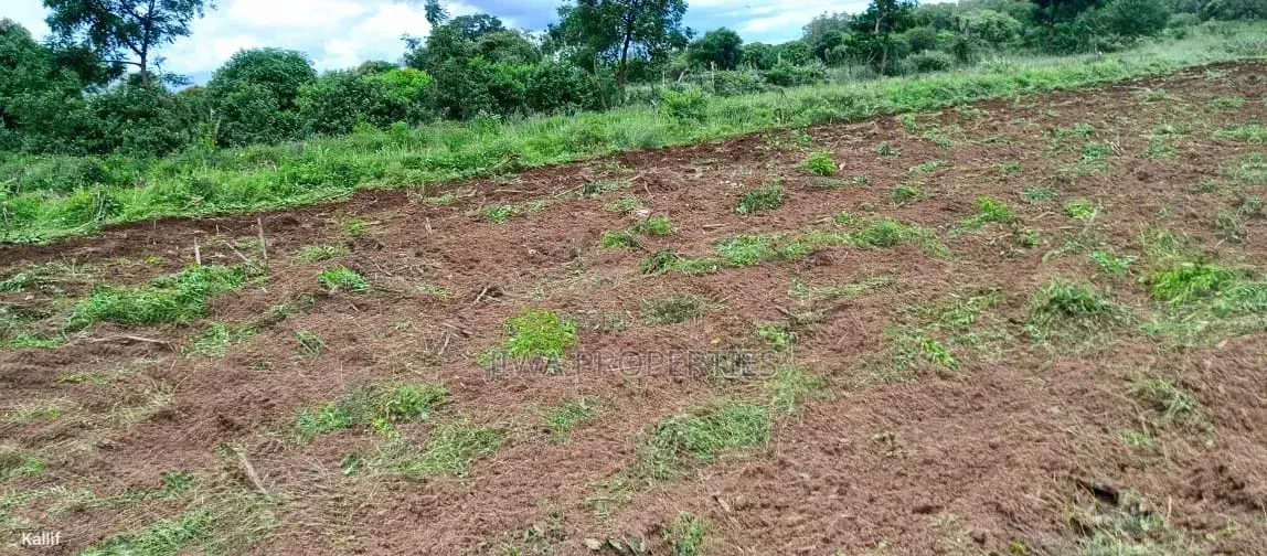 Several Freehold 1/4 Acres Plots for Sale