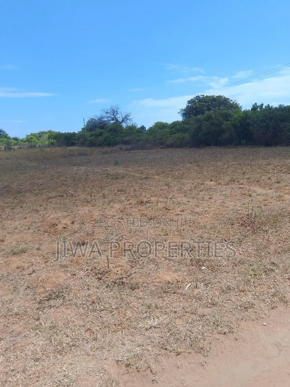 Several Freehold 1/4 Acres Plots for Sale