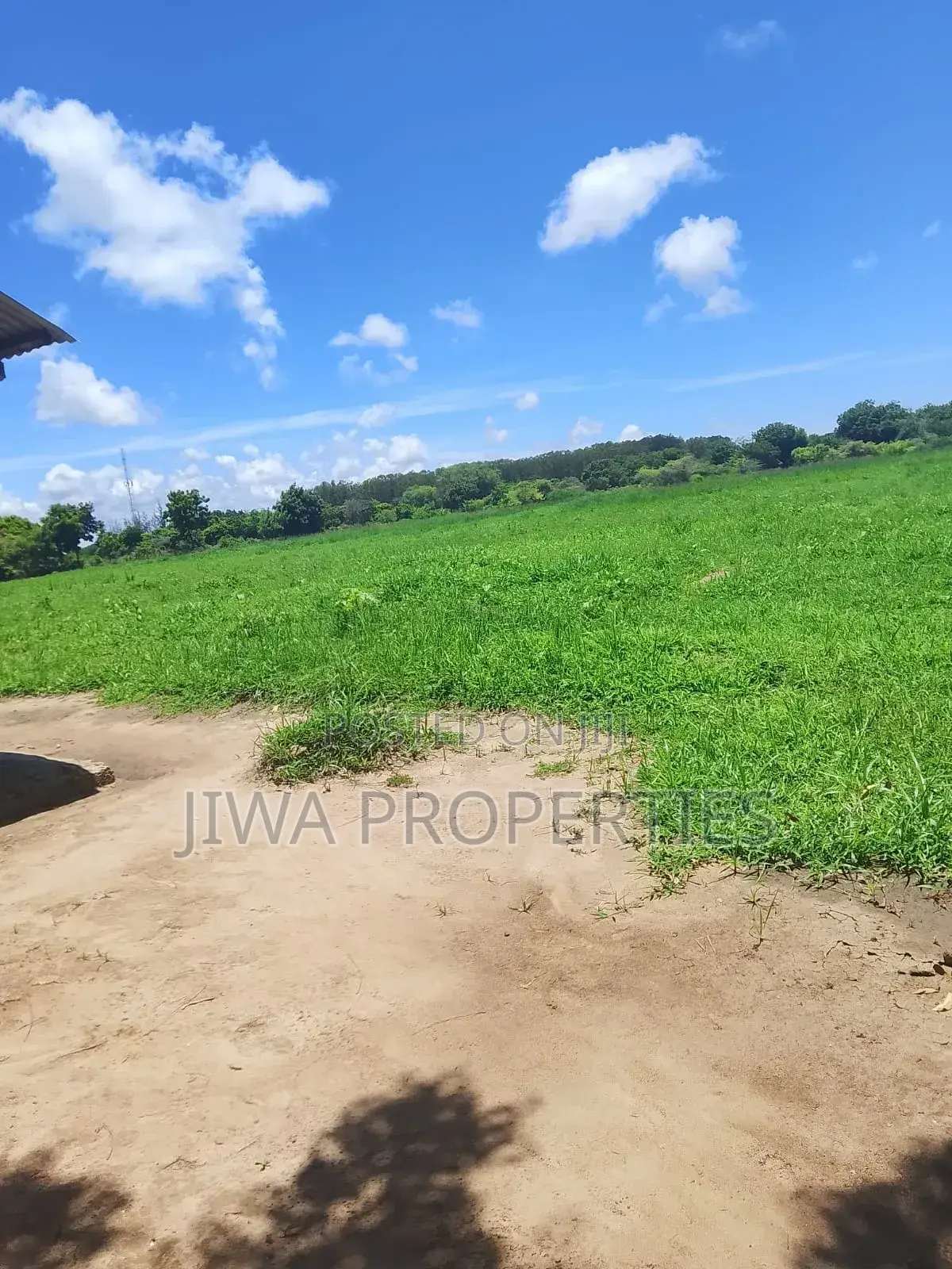 Several Freehold 1/4 Acres Plots for Sale
