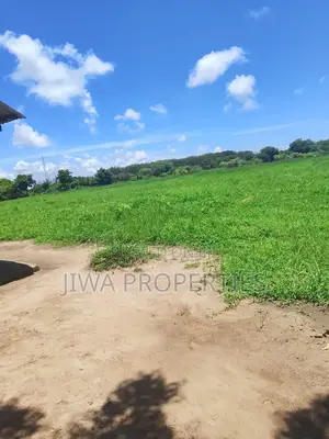 Several Freehold 1/4 Acres Plots for Sale