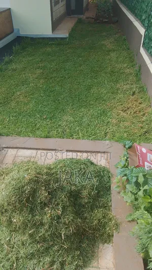 Land Scapiging and Gardenig Services
