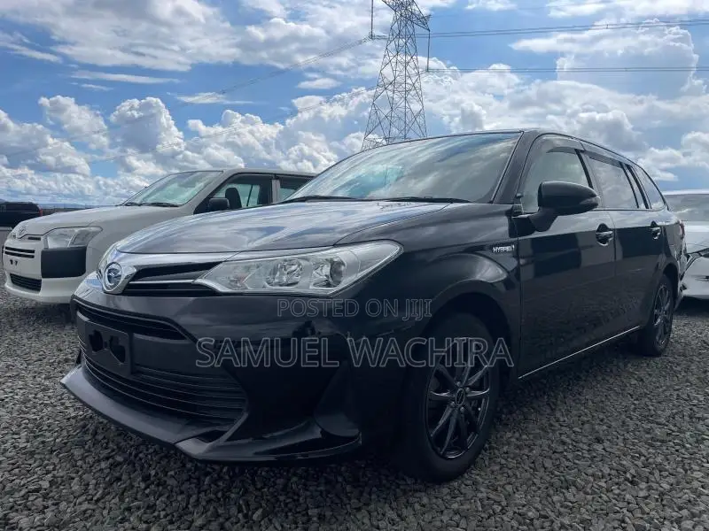 Toyota Corolla Fielder 2018 Black