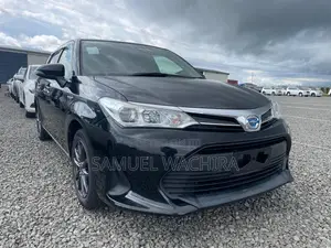 Toyota Corolla Fielder 2018 Black