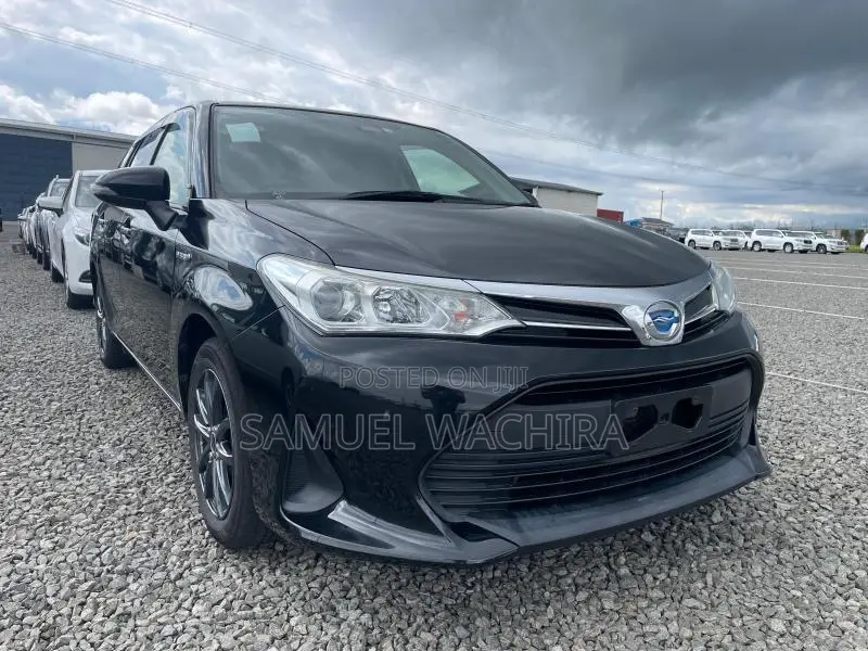 Toyota Corolla Fielder 2018 Black