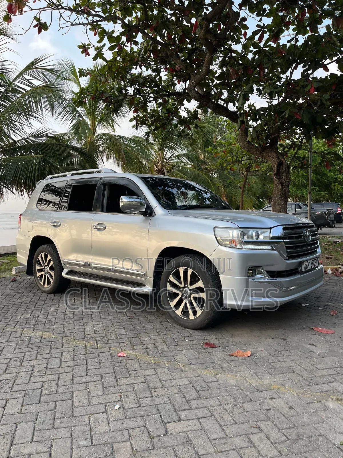Toyota Land Cruiser 2010 Silver