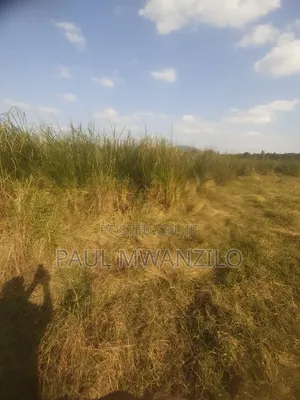 Land on Sale at Mavindini Ward Ward Makueni County