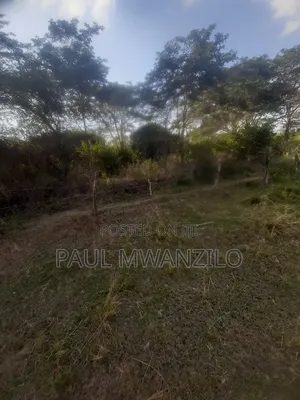 Farm Land on Sale