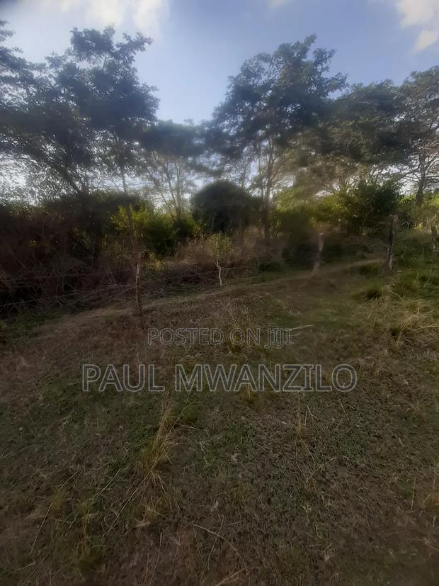 Farm Land on Sale