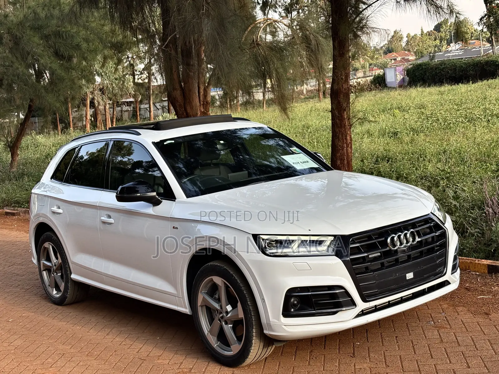 Audi Q5 2.0T Premium AWD quattro 2019 White