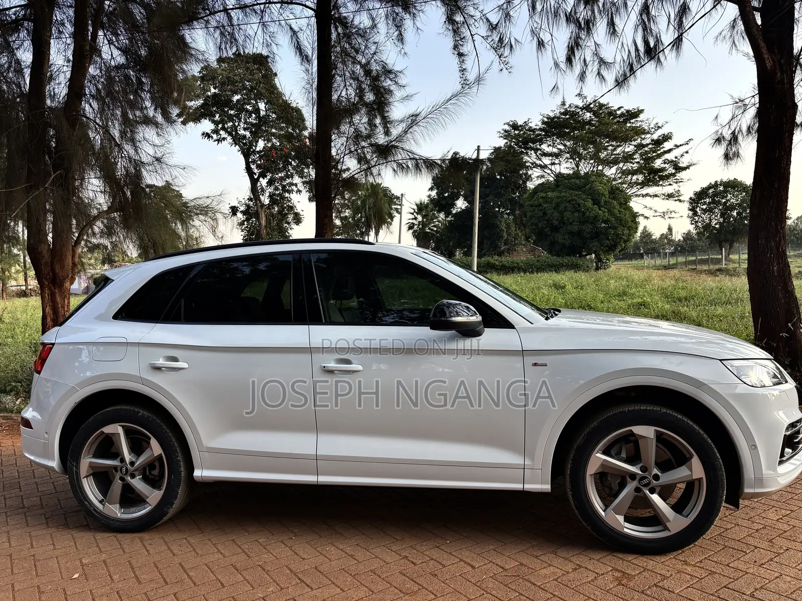 Audi Q5 2.0T Premium AWD quattro 2019 White