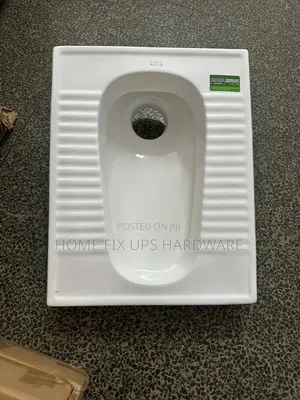Step Asian Toilet