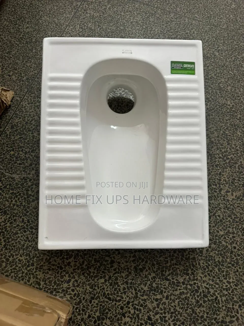 Step Asian Toilet