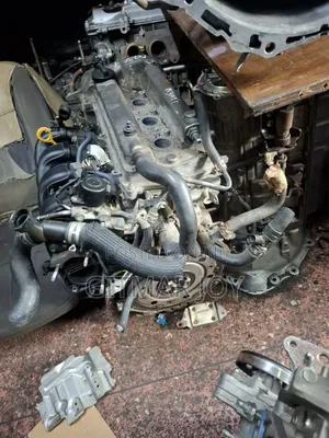 1 NZ Slim Engine