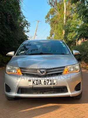 Toyota Axio 2013 Silver