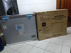 Roch 251 Litres Chest Freezer With 5-Year Warranty