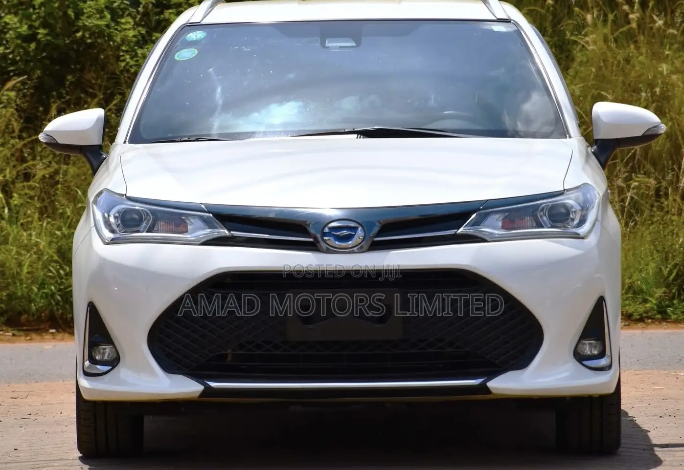 Toyota Corolla Fielder 2019 White