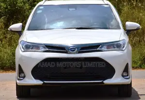 Toyota Corolla Fielder 2019 White