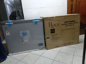Roch 251L Energy Saving Deep Freezer