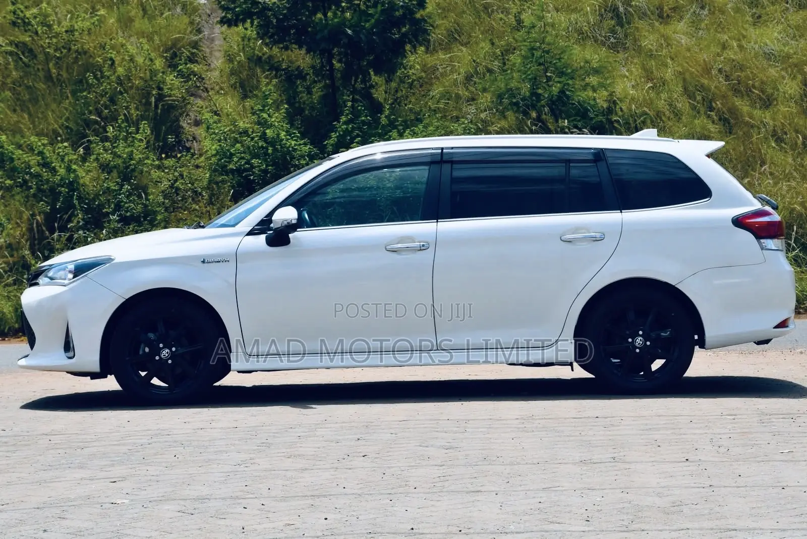 Toyota Corolla Fielder 2019 White