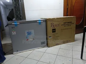 Roch 251L Commercial Home Deep Freezer