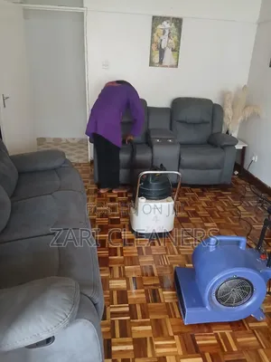 Budget Friendly Sofa Clean Up