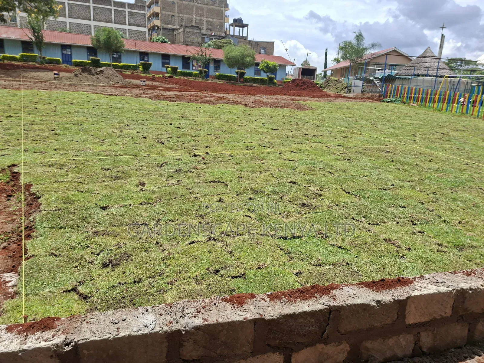Carpet Grass(Kikuyu Grass) Per Piece