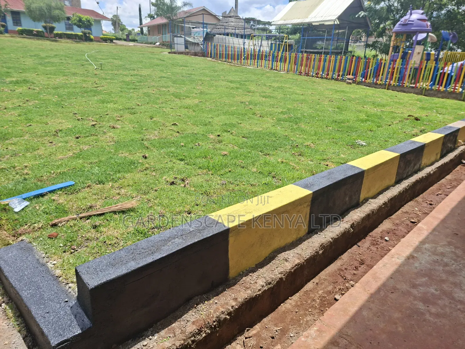 Carpet Grass(Kikuyu Grass) Per Piece