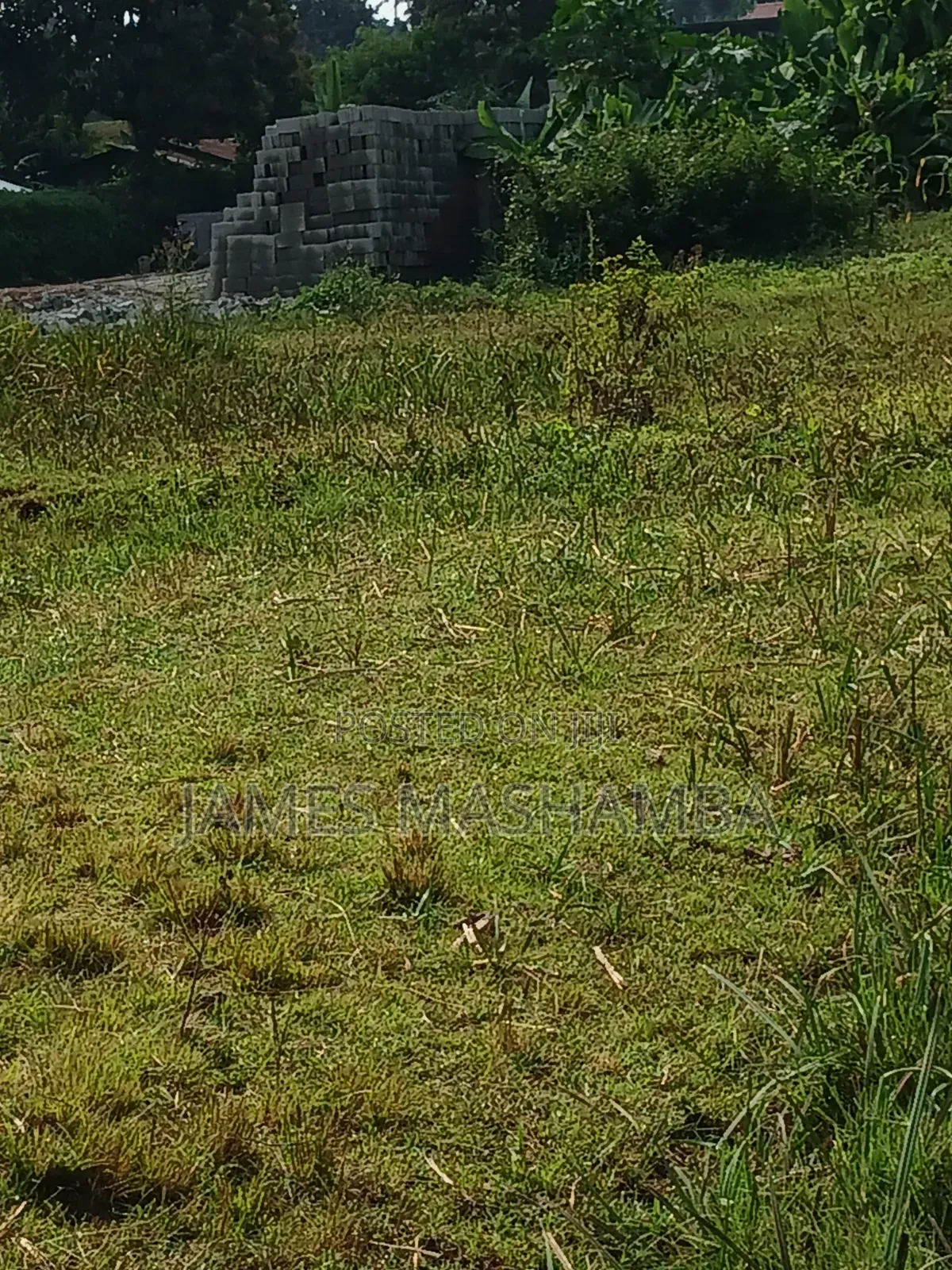 Prime Plot 50 by 100ft Touching the Southern Bypass