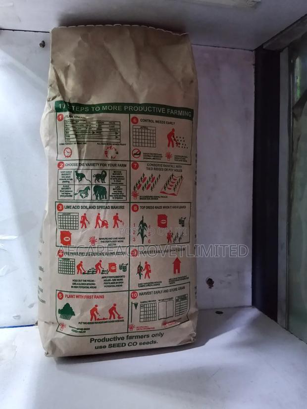 Duma 43 Maize Seeds 2kg - thumbnail 3